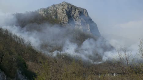 Aufnahmen-von-einem-schwelenden-Wald