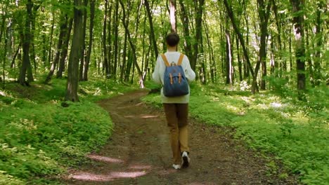 Mujer-de-excursionista-con-mochila,-caminar-en-el-bosque.