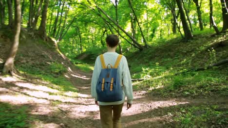 Wanderer-Frau-mit-Rucksack-im-Wald-spazieren.