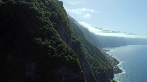 Selva-de-Madeira-en-la-costa