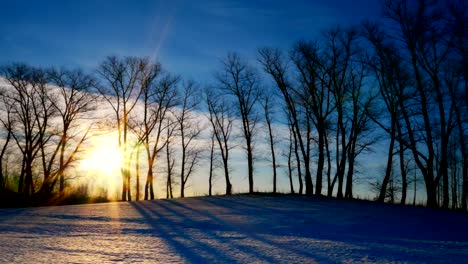 Puesta-de-sol-en-el-bosque-invernal