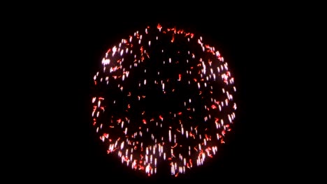 Single-Colorful-Firework-Against-Black-Background