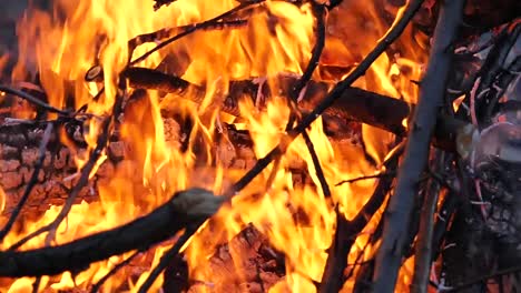 close-up-of-the-bonfire