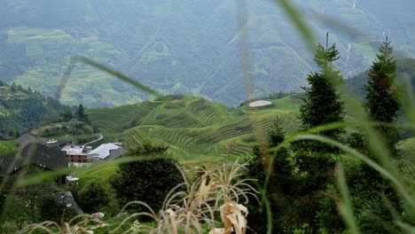 Die-Longji-Reisterrassen