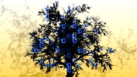 Mixed-media-of-two-3d-animation--from-tree--and-binary-code