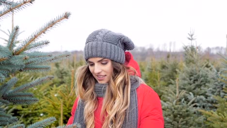 Man-and-woman-looking-for-a-christmas-tree