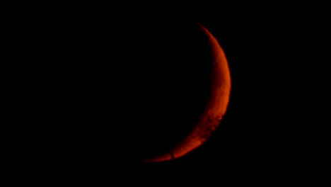 Ajuste-de-luna-tras-el-horizonte-y-el-bosque-fotografiado-a-través-de-un-telescopio-astronómico-y-una-montura-especial-para-el-seguimiento-de-objetos-celestes.-Mis-trabajos-de-Astronomía.