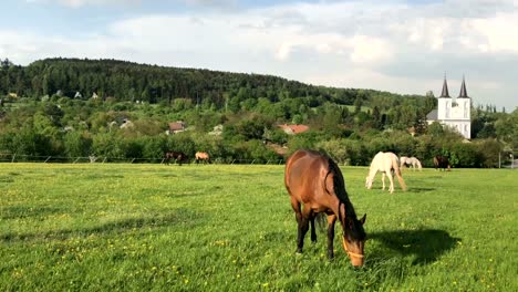 Granja-con-caballos-y-Rectoría-de-la-Iglesia-Evangélica