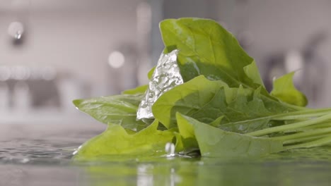 Falling-of-spinach-into-the-water.-Slow-motion-240-fps