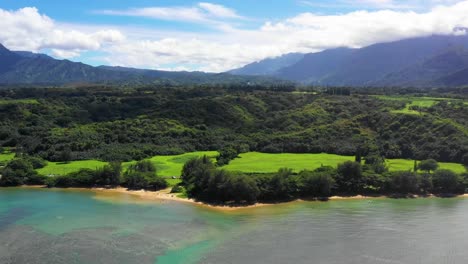 Hiper-lapso-de-las-palmeras-de-playa-de-la-montaña