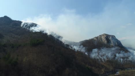 A-moving-aerial-footage-of-thick-smoke-in-the-woods-covering-the-whole-area