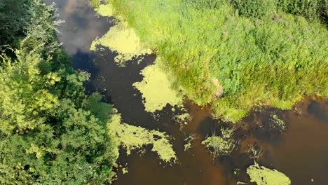 River-Bed---top-view-from-drone