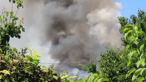 Un-incendio-quema.-Nubes-negras-de-humo