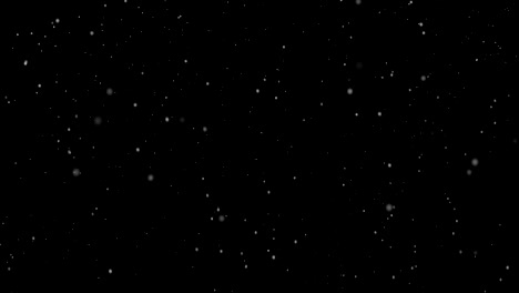 Snow-falling-on-black-background