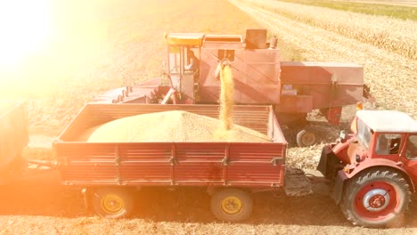 Aerial-View-Corn-Harvest