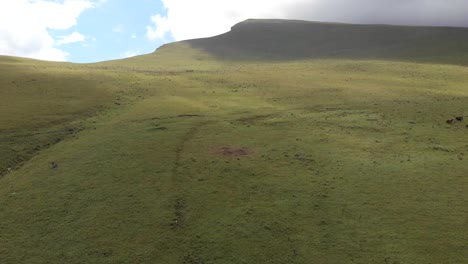 Drone-shot-of-a-herd-of-horses-grazing-in-a-meadow-in-the-mountains.