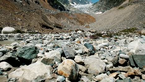 Morrena-pedregosa-en-las-montañas-en-el-fondo-del-glaciar,-lenta.-Arroyo-de-montaña-y-flores-silvestres,-movimiento-de-la-cámara