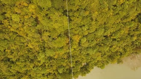 Attraction-zipline-in-the-jungle-Bohol,-Philippines