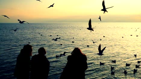 Personas-alimentan-las-gaviotas-en-la-orilla-del-mar.-Cámara-lenta.