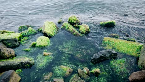 Las-olas-estrellan-en-las-rocas-cubiertas-de-musgo.-Cámara-lenta