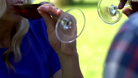 Mixed-race-couple-talking-and-clinking-glasses-with-red-wine,-date,-close-up