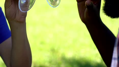 Afro-american-male-and-caucasian-woman-drinking-red-wine-together-in-park