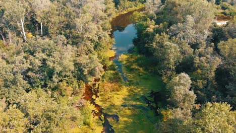 Flussbett---Draufsicht-von-Drohne