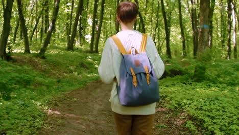 Mujer-de-excursionista-con-mochila,-caminar-en-el-bosque.