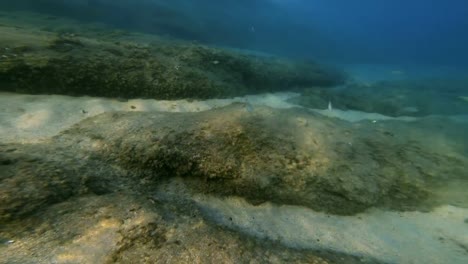 scuba-diving-underwater-4k