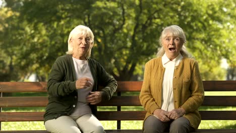 Two-joyful-senior-women-enjoying-company-of-passerby-people-in-park,-elderly