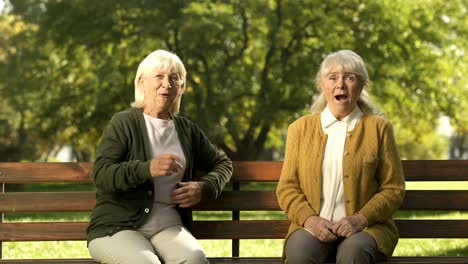 Dos-mujeres-mayores-alegres-disfrutando-de-la-compañía-de-personas-transeúntes-en-el-parque,-mayor