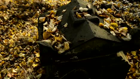 Abandoned-cemetery