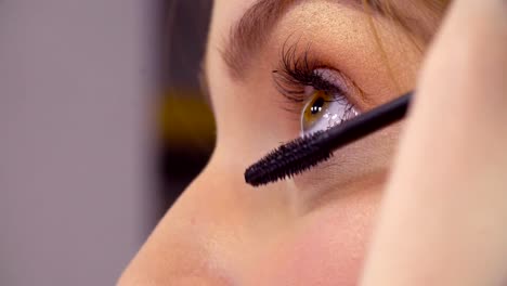 The-makeup-artist-applying-mascara