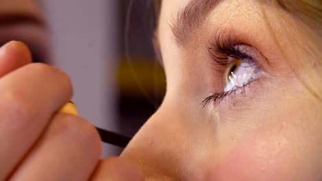 Das-Make-up-Artist-Mascara-auftragen