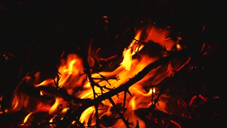 close-up-of-the-fire