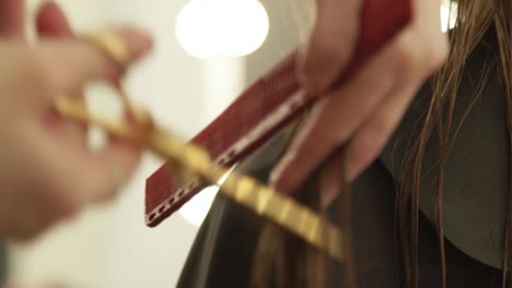 Female-hand-hairdresser-combing-long-hair-and-cutting-with-hairdressing-scissors.-Close-up-woman-hairdressing-with-professional-scissors-in-beauty-salon