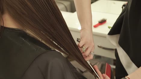 Haircutter-combing-and-cutting-long-hair-with-scissors-in-hairdressing-salon.-Close-up-hairdresser-making-female-haircut-with-scissors-in-beauty-salon