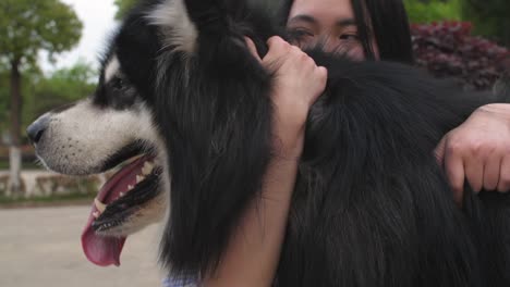 Glückliche-junge-asiatische-Frau-hält-ihren-Hund-Alaskan-Malamute-im-Freien,-4k