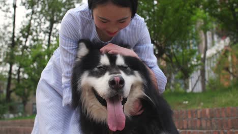 Glückliche-junge-asiatische-Frau-hält-ihren-Hund-Alaskan-Malamute-im-Freien,-4k