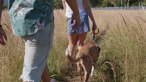 Couple-walking-their-dog-in-field