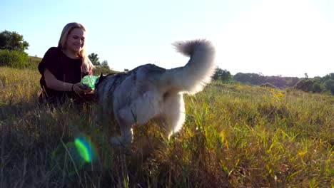 Dolly-shot-of-young-girl-with-blonde-hair-holding-in-hands-a-plastic-bottle-while-siberian-husky-biting-and-pulling-her-at-nature.-Happy-woman-spending-time-together-with-dog-at-field.-Low-angle-view