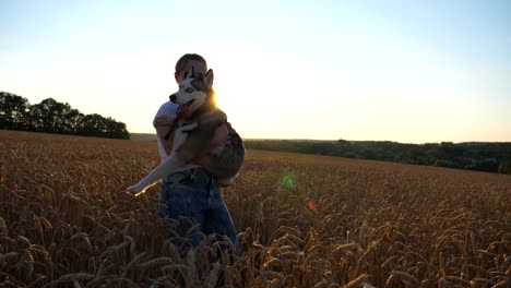 Feliz-niña-con-cabello-rubio-llevando-perro-husky-siberiano-de-las-manos-y-girando-a-su-alrededor-en-el-campo-de-trigo-dorado.-Mujer-joven-en-gafas-de-sol-que-mascota-en-brazos-entre-las-espiguillas-en-el-Prado.