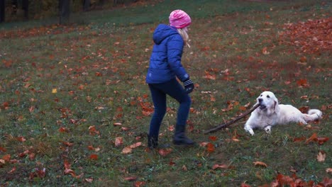 feliz-niña-de-aspecto-europeo-es-divertirse-jugando-en-el-parque-de-otoño-con-un-gran-perro-hermoso