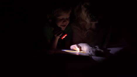 vida-feliz-con-los-animales-domésticos---niño-en-la-noche-leyendo-un-libro-debajo-de-las-cobijas-con-su-perro-grande