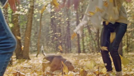 joyous-couple-with-dog-in-autumn-park