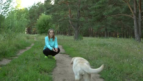 Hübsches-Mädchen-ist-die-Ausbildung-ihres-Hundes-und-ermutigt-sie-mit-Feingefühl-in-Rasen-im-Park-sitzend