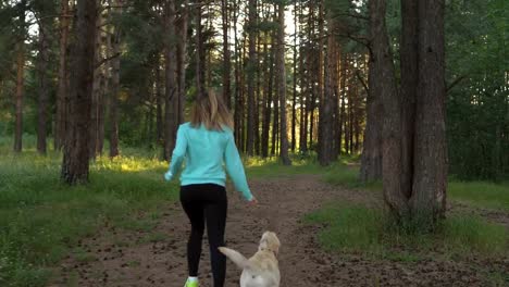 Junge-Frau-ist-mit-Hund-im-Wald-spazieren.