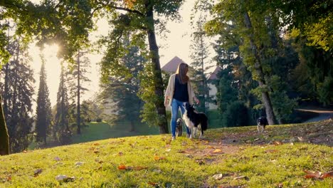 Eine-junge-Brünette-geht-ihren-Hunden-auf-dem-Lande.-Sonne-strahlt-durch-die-Zweige.