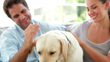 Glückliches-Paar-streicheln-Ihre-labrador-Hund-auf-der-couch