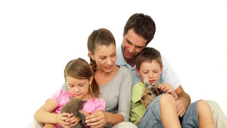 Süße-Familie-mit-grauen-Kätzchen-und-yorkshire-terrier-Welpen